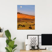 Bison Grazing on Hill im Hayden Valley Poster (Heimbüro)
