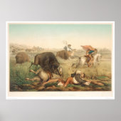 Bison Hunt (0008A) Poster (Vorne)