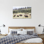 Bison im Hayden-Tal des Yellowstone Leinwanddruck (Insitu (Schlafzimmer))