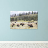 Bison im Hayden-Tal des Yellowstone Leinwanddruck (Insitu (Holzboden))