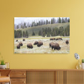 Bison im Hayden-Tal des Yellowstone Leinwanddruck (Insitu (Wohnzimmer))