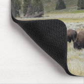 Bison im Hayden-Tal des Yellowstone Mousepad (Ecke)
