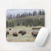 Bison im Hayden-Tal des Yellowstone Mousepad (Mit Mouse)