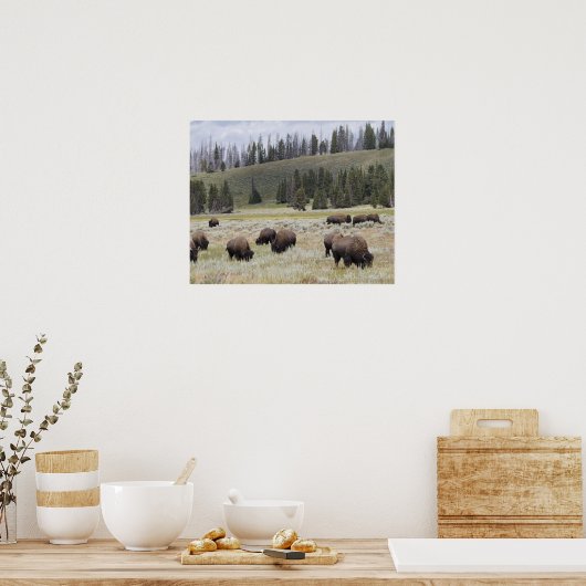 Bison im Hayden-Tal des Yellowstone Poster (Küche)