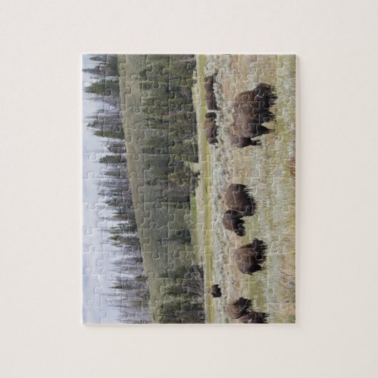 Bison im Hayden-Tal des Yellowstone Puzzle (Vertikal)