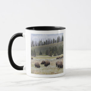 Bison im Hayden Tal von Yellowstone Tasse
