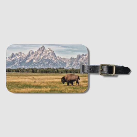 Bison im Tetons Gepäckanhänger (Vorderseite (Horizontal))