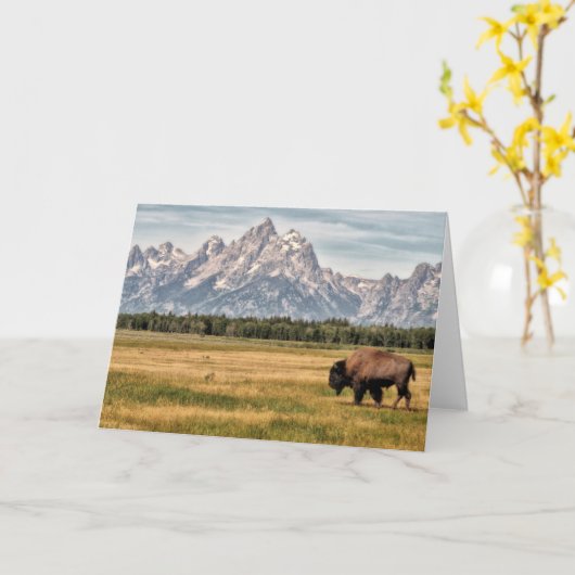 Bison im Tetons Karte (Gelbe Blume)