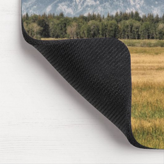 Bison im Tetons Mousepad (Ecke)