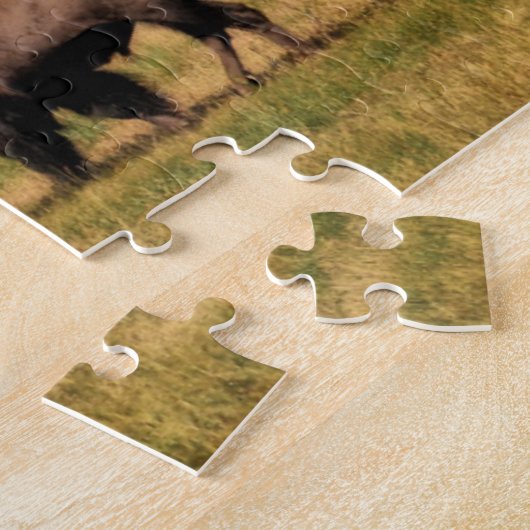Bison im Tetons Puzzle (Seite)