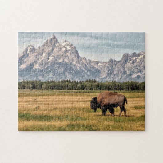 Bison im Tetons Puzzle (Horizontal)