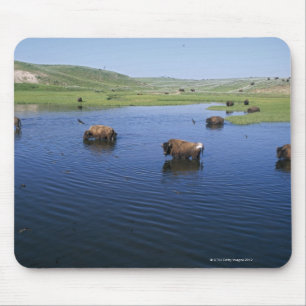 Bison im Wasser mit vielen Klippen Schluchten Mousepad