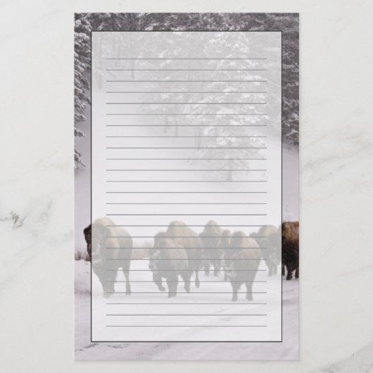 Bison im Winter Briefpapier (Vorderseite)