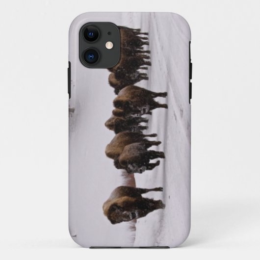 Bison im Winter Case-Mate iPhone Hülle (Rückseite)