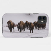 Bison im Winter Case-Mate iPhone Hülle (Rückseite (Horizontal))