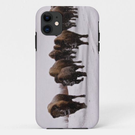 Bison im Winter Case-Mate iPhone Hülle (Rückseite)