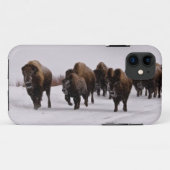 Bison im Winter Case-Mate iPhone Hülle (Rückseite (Horizontal))