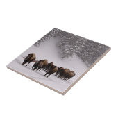 Bison im Winter Fliese (Seite)