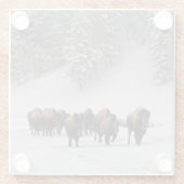 Bison im Winter Glasuntersetzer (Rückseite)