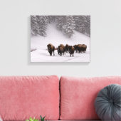 Bison im Winter Leinwanddruck (Insitu (Wohnzimmer))