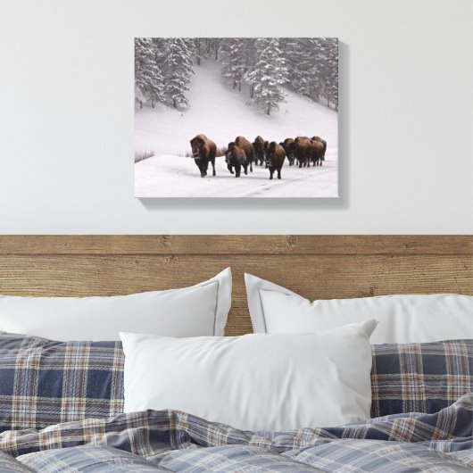 Bison im Winter Leinwanddruck (Insitu (Schlafzimmer))