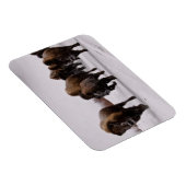 Bison im Winter Magnet (Rechte Seite)