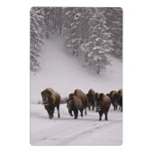 Bison im Winter Mini Klemmbrett (Rückseite)