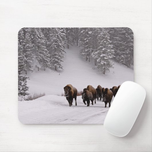 Bison im Winter Mousepad (Mit Mouse)