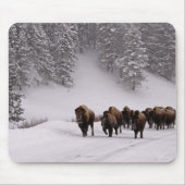 Bison im Winter Mousepad (Vorne)