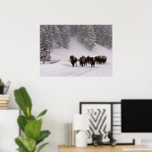 Bison im Winter Poster (Heimbüro)