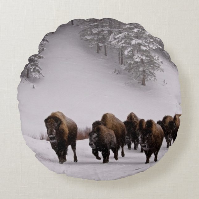Bison im Winter Rundes Kissen (Vorderseite)