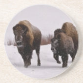Bison im Winter Sandstein Untersetzer (Vorne)
