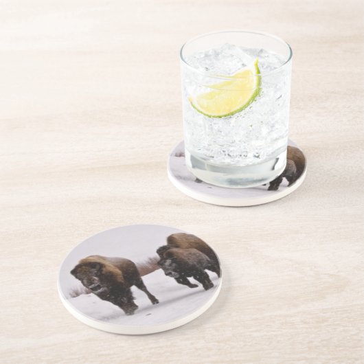 Bison im Winter Sandstein Untersetzer (Seite)