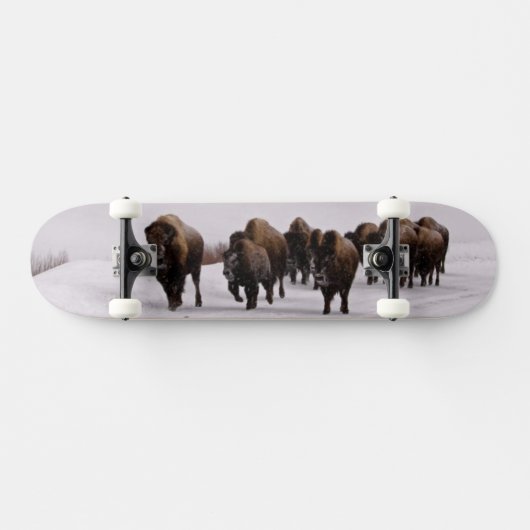 Bison im Winter Skateboard (Horizontal)