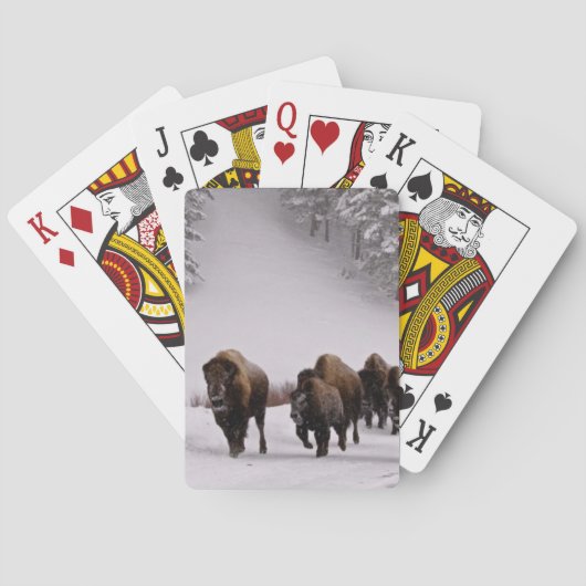 Bison im Winter Spielkarten (Rückseite)