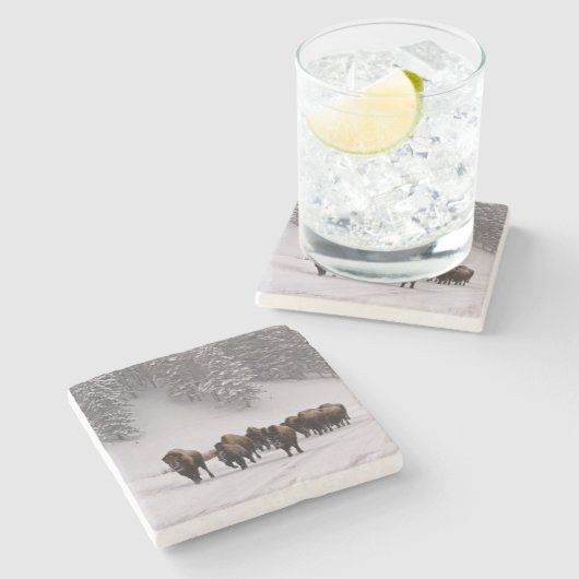 Bison im Winter Steinuntersetzer (Seitenansicht)