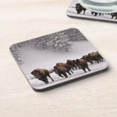 Bison im Winter Untersetzer (Linke Seite)