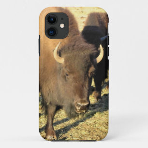 Bison in Colorado Case-Mate iPhone Hülle