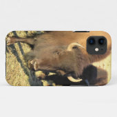 Bison in Colorado Case-Mate iPhone Hülle (Rückseite (Horizontal))