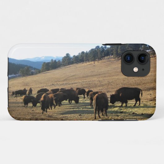 Bison in Colorado Case-Mate iPhone Hülle (Rückseite (Horizontal))