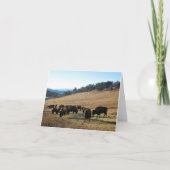 Bison in Colorado Dankeskarte (Vorderseite)