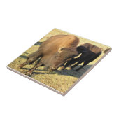 Bison in Colorado Fliese (Seite)