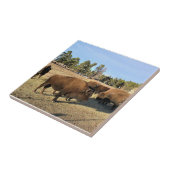 Bison in Colorado Fliese (Seite)