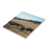Bison in Colorado Fliese (Seite)