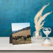 Bison in Colorado Fotoplatte (InSitu)