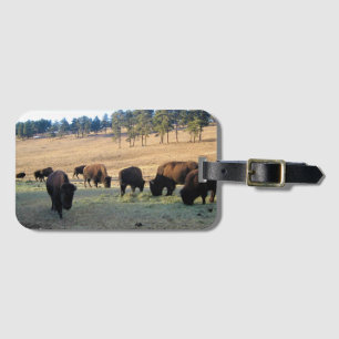 Bison in Colorado Gepäckanhänger