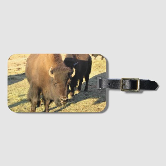 Bison in Colorado Gepäckanhänger (Vorderseite (Horizontal))