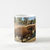 Bison in Colorado Kaffeetasse (Mittel)