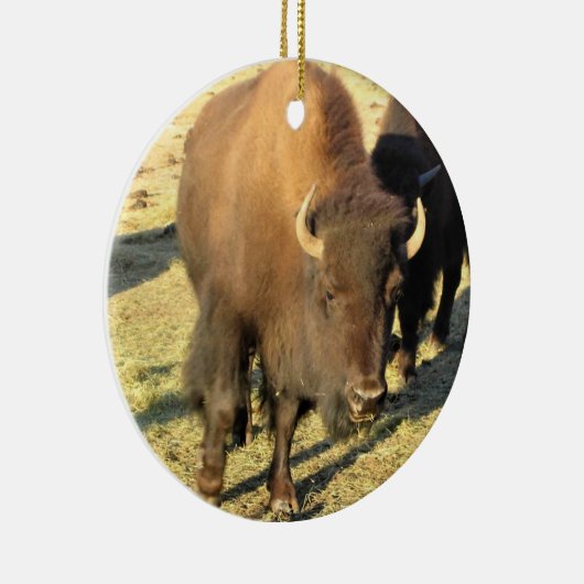 Bison in Colorado Keramik Ornament (Rechts)