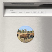 Bison in Colorado Magnet (In Situ (Geschirrspüler))